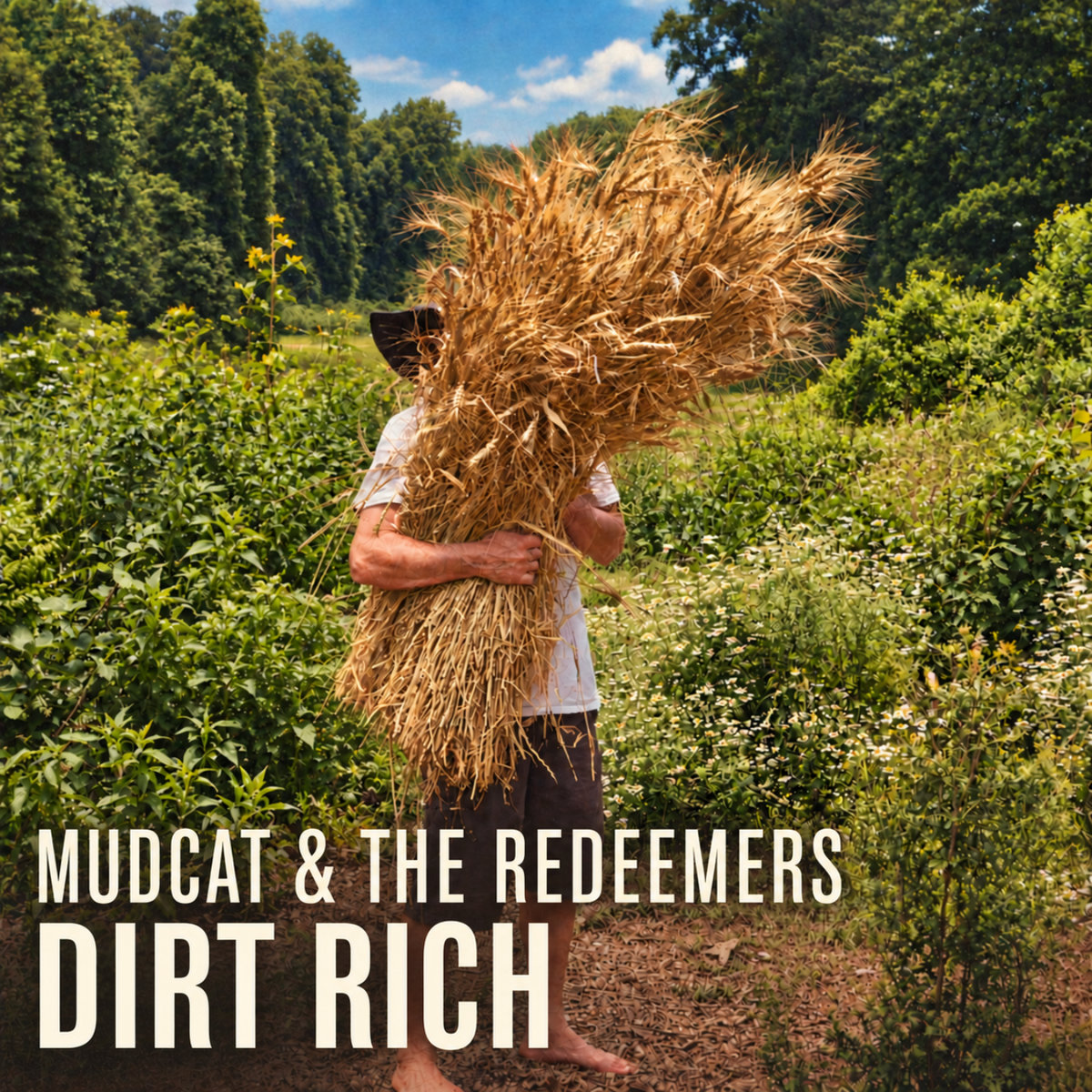Cover art for Dirt Rich