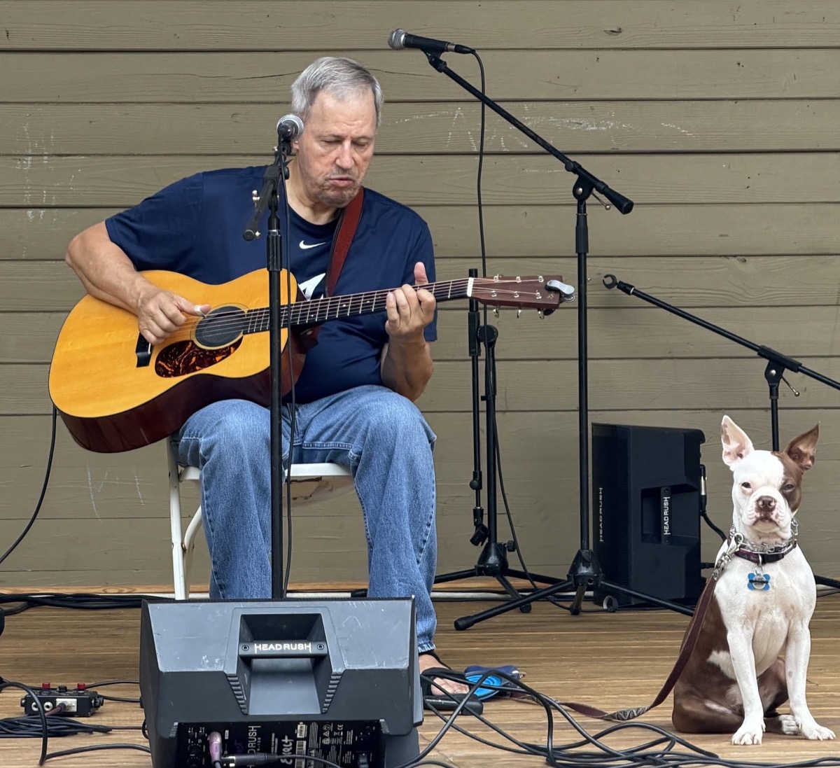 Joe Caporaso playing acoustic guitar onstage beside a dog
